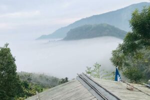 雲海