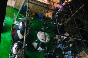庭院