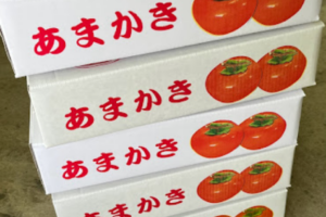 甜柿