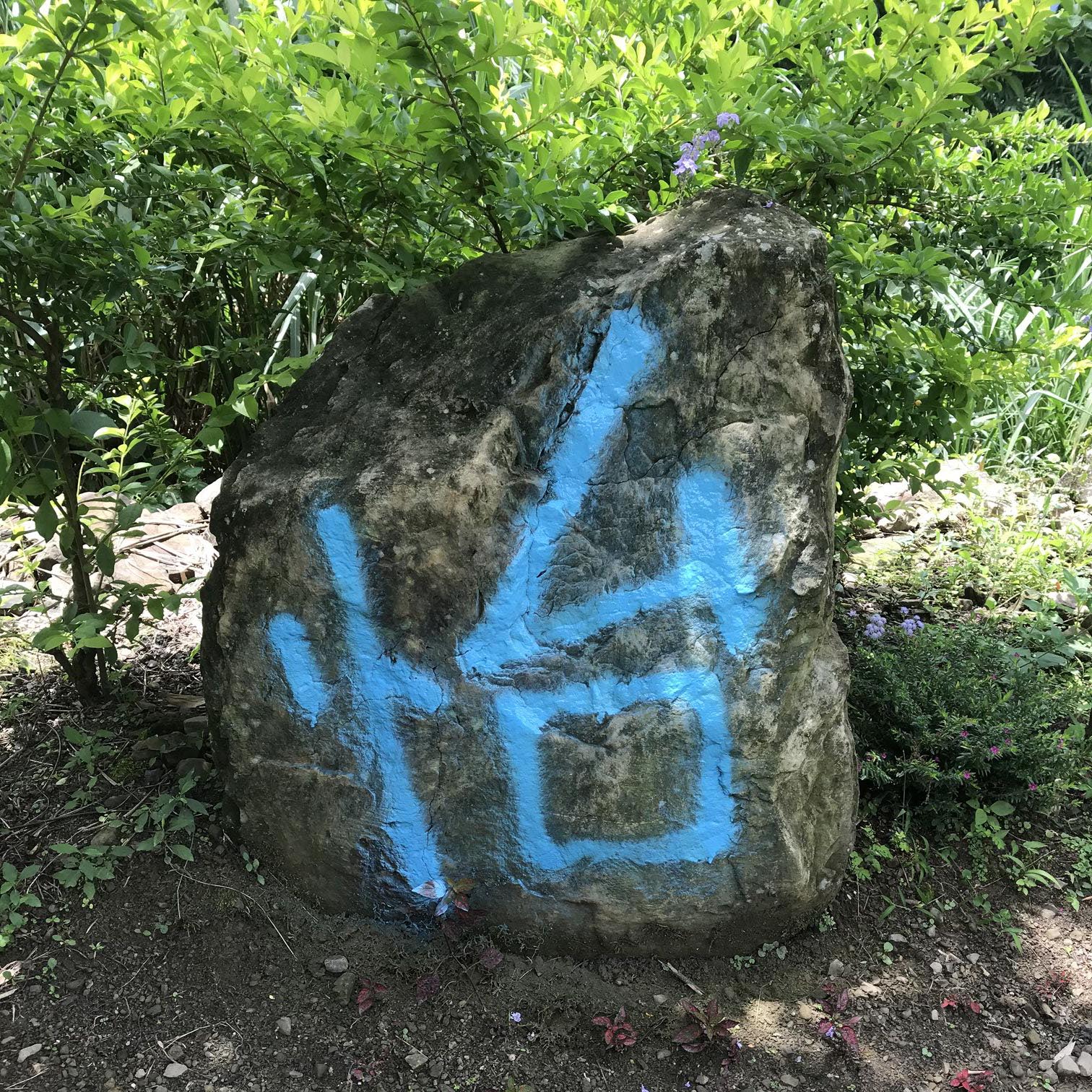 stone.怡