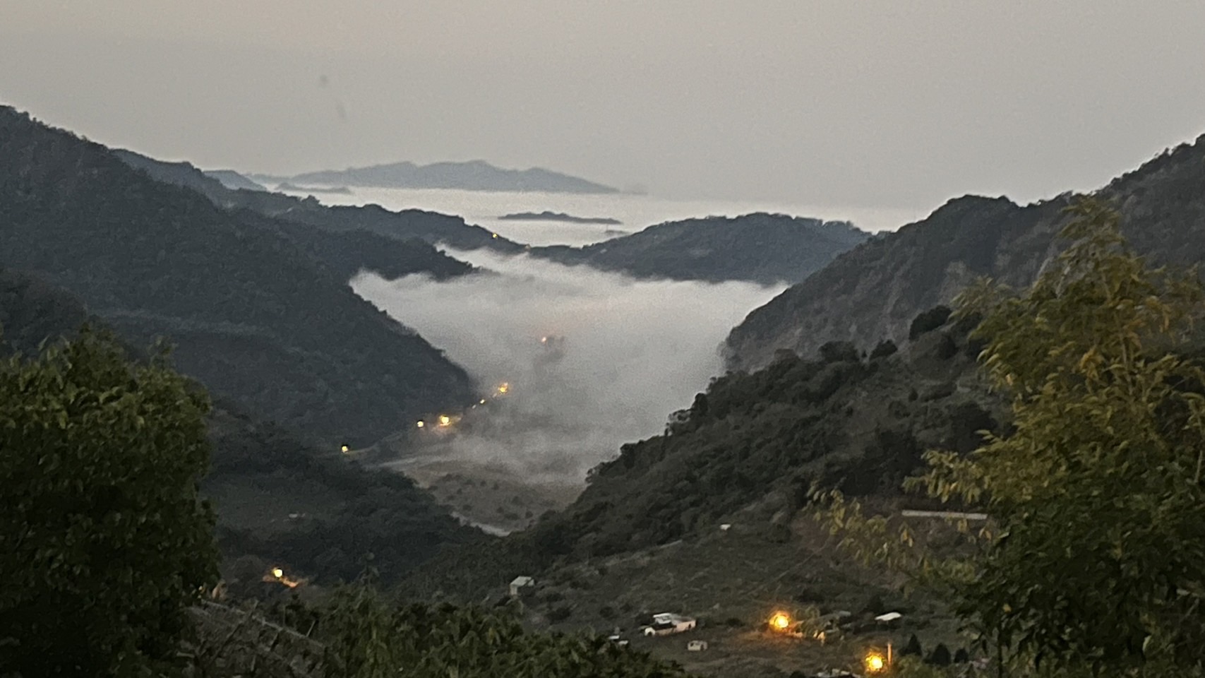 S__79265806