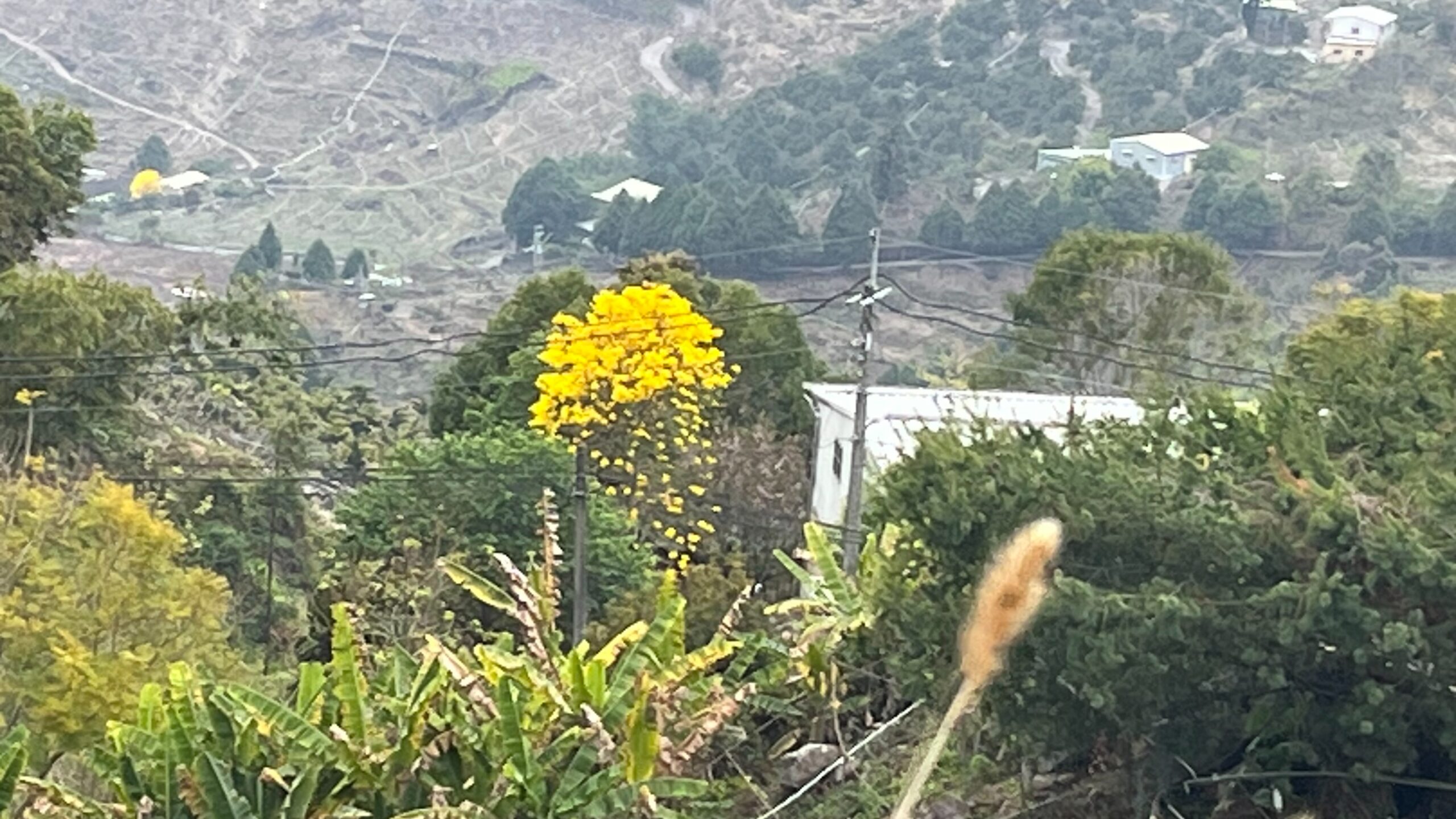 S__79265809