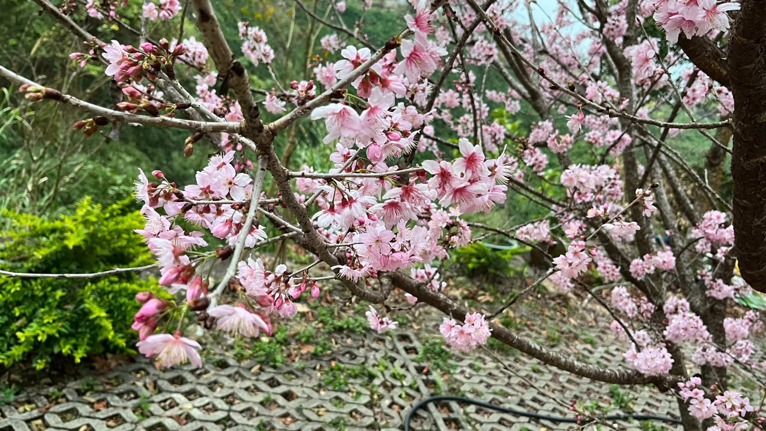 更多照片>>>