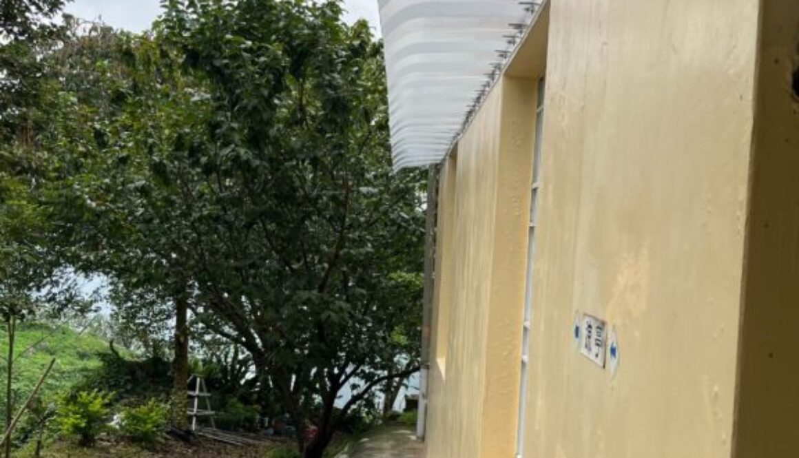 S__80969733