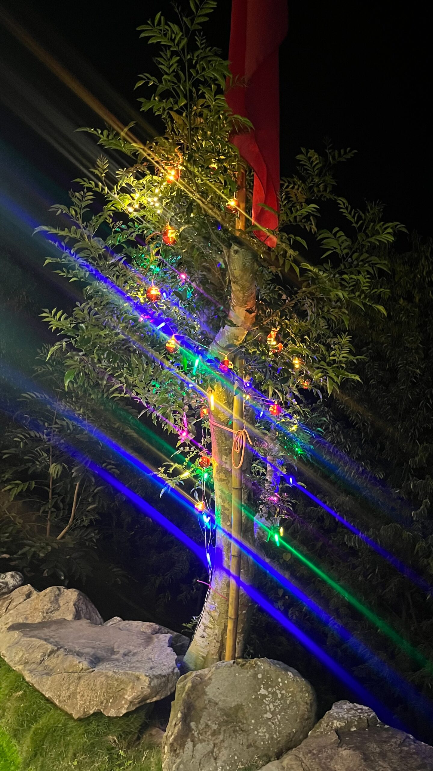 S__84246534_0