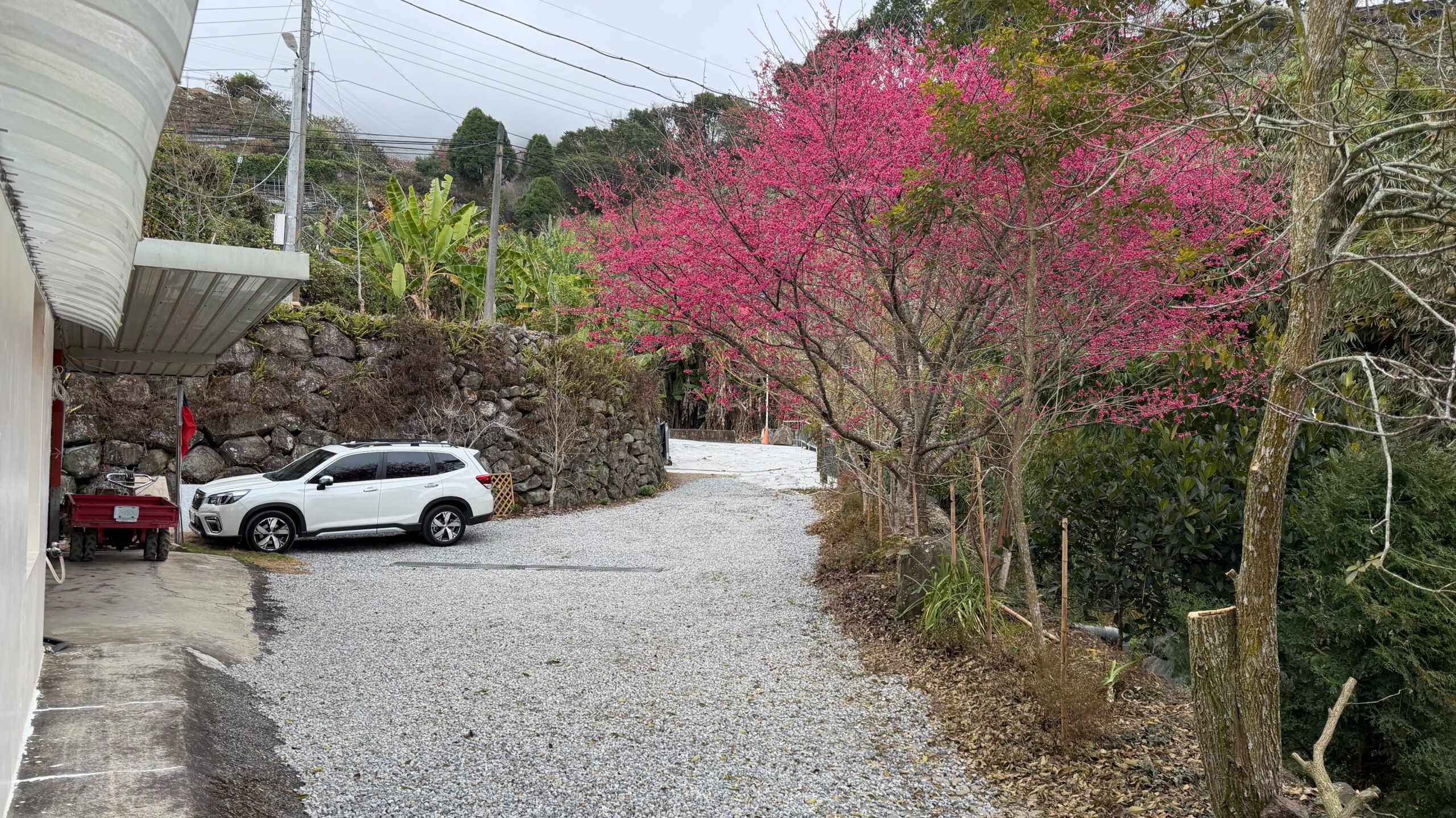 visitorLog.20260131.01