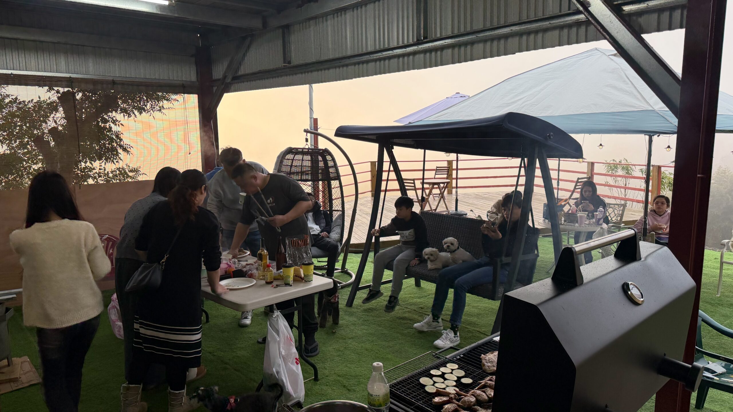 visitorLog.20260131.04