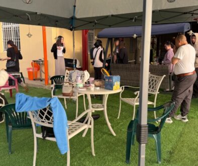 visitorLog.20260131.FI